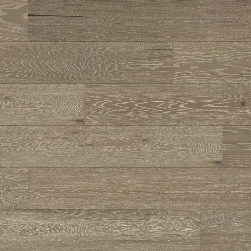 STEJAR TARTUFO GRANDE photo2